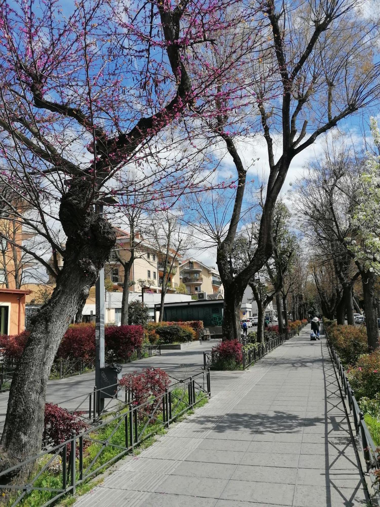 La Passeggiata Apartment Monterotondo  Luaran gambar